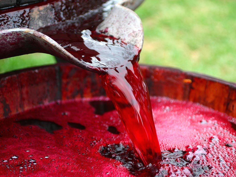 Red wine pours from a metal spout into a wooden barrel at a Willamette Valley winery.