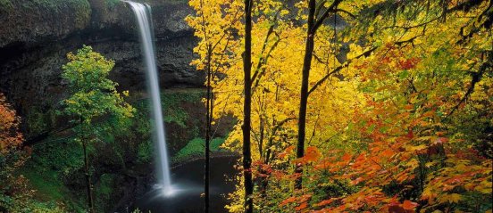 A tall waterfall plunging over a cliff into a pool surrounded by autumn trees with yellow and orange leaves.