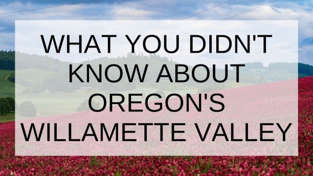 Text overlay reads “WHAT YOU DIDN’T KNOW ABOUT OREGON’S WILLAMETTE VALLEY” over a field of red flowers and rolling hills.
